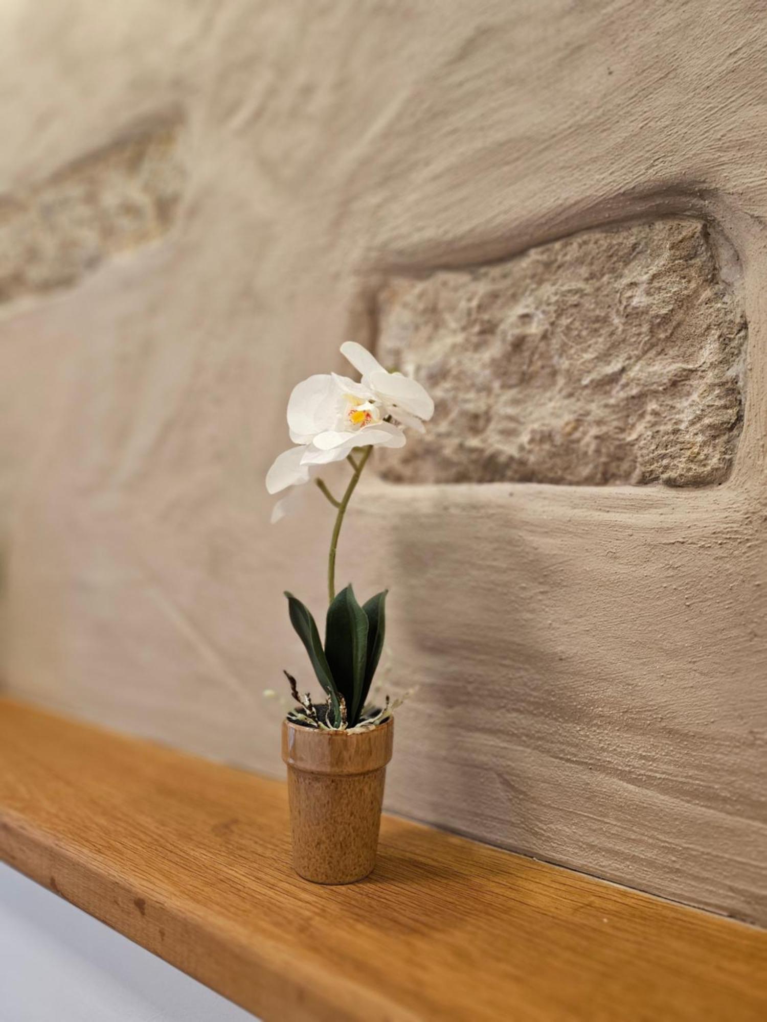 Ferienapartment Wilma Grunsfeld Dış mekan fotoğraf